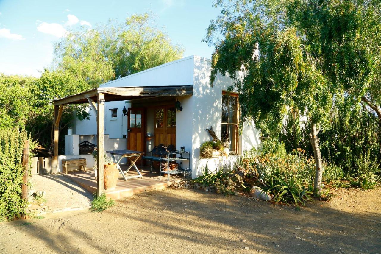 Aloe Guest House Prince Albert Εξωτερικό φωτογραφία