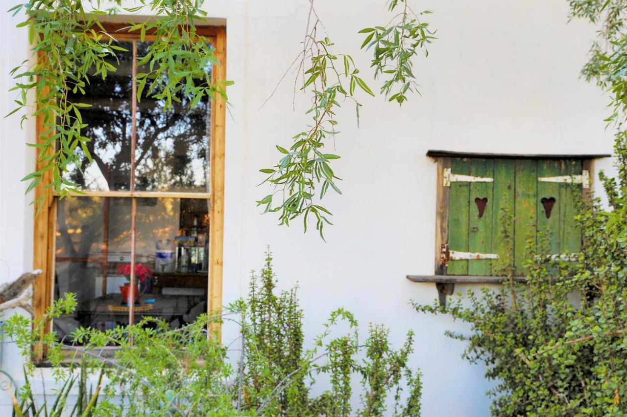 Aloe Guest House Prince Albert Εξωτερικό φωτογραφία