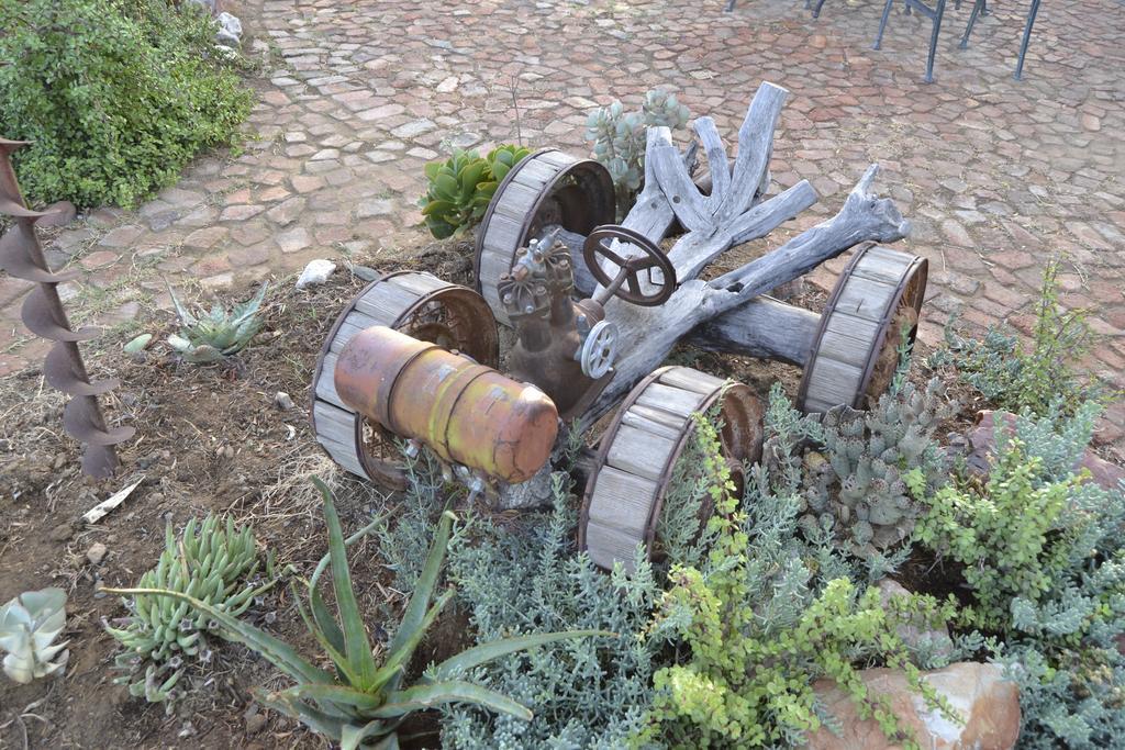 Aloe Guest House Prince Albert Εξωτερικό φωτογραφία