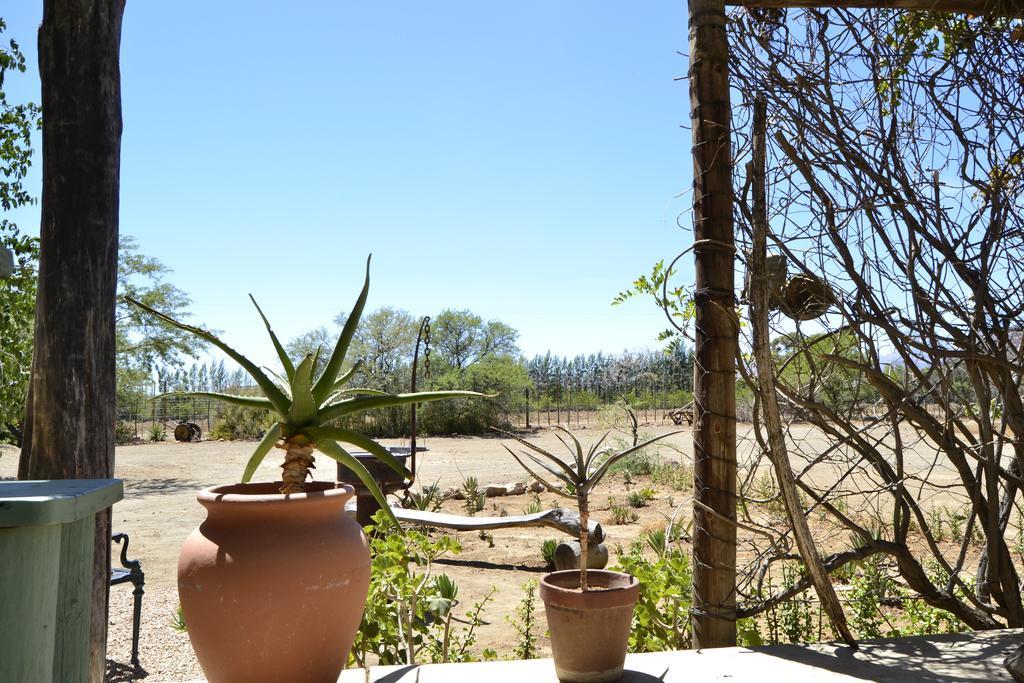 Aloe Guest House Prince Albert Εξωτερικό φωτογραφία