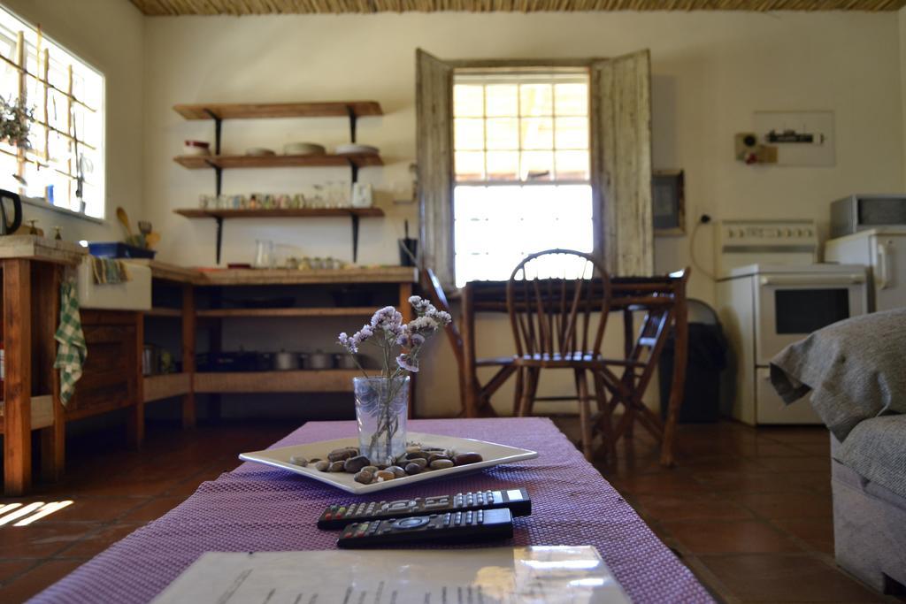 Aloe Guest House Prince Albert Εξωτερικό φωτογραφία